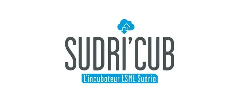 Incubateur Esme Sudria - Sudri'Cub : présentation