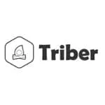logo interview Triber