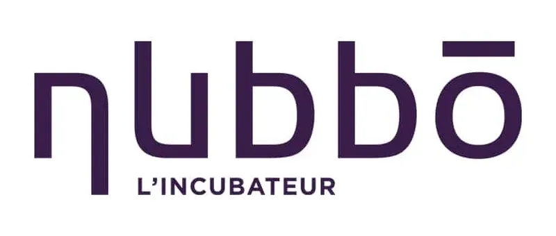 Incubateur Nubbo : présentation