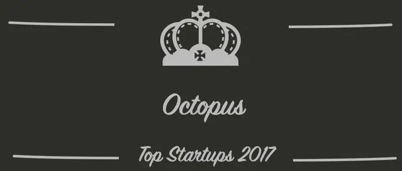 Octopus : une startup à suivre en 2017 (Interview)