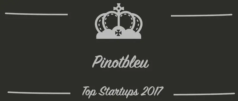 Pinotbleu : une startup à suivre en 2017 (Présentation)