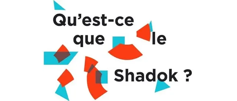 Shadok - Incubateur De Strasbourg : présentation